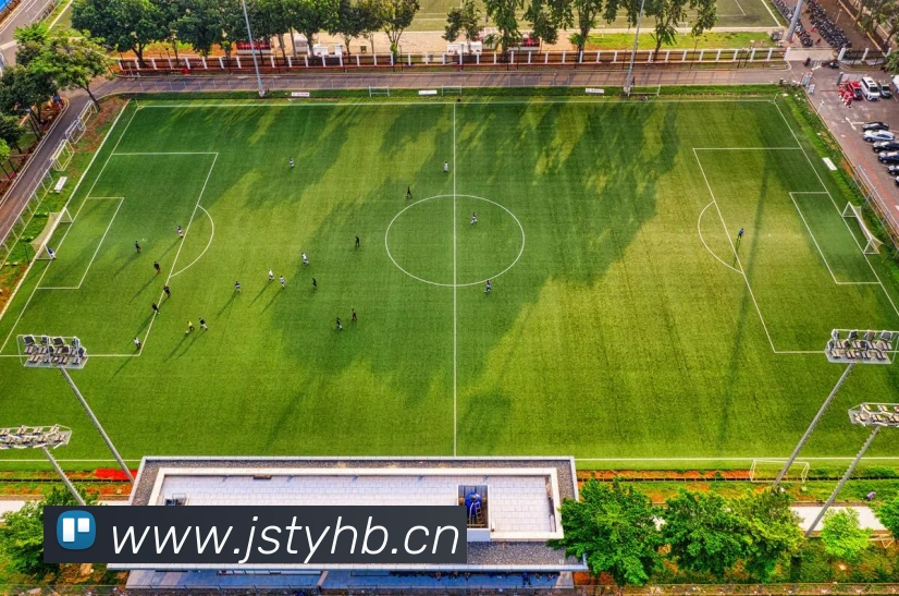 ayx平台官网入口APP 封面图